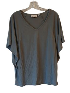 Avenue V-Neck Gray Top Size 14/16 NWT